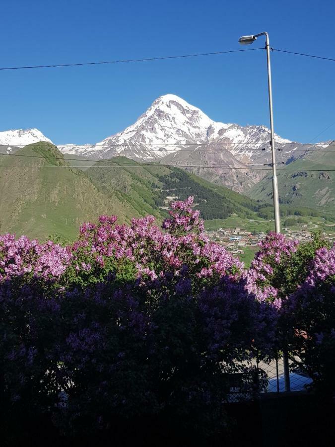 Hilltop Kazbegi Eksteriør bilde